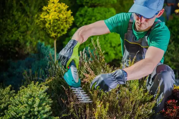landscaping services Coal Run Village